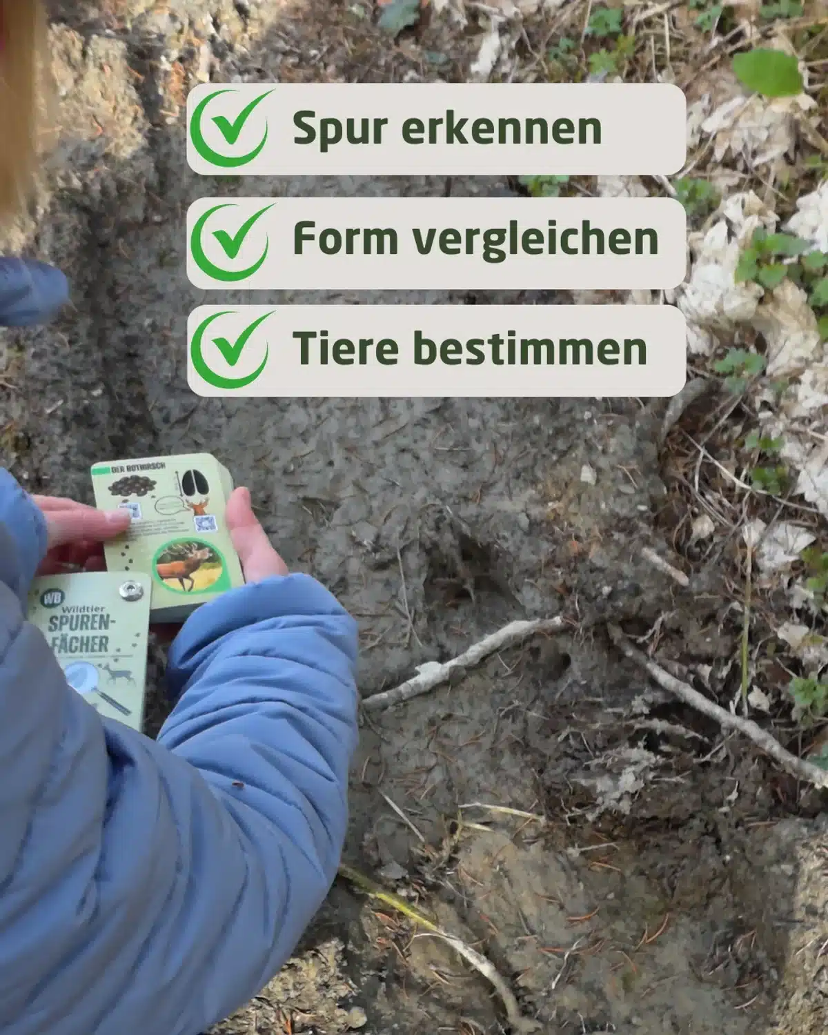 Spuren erkennen und vergleichen