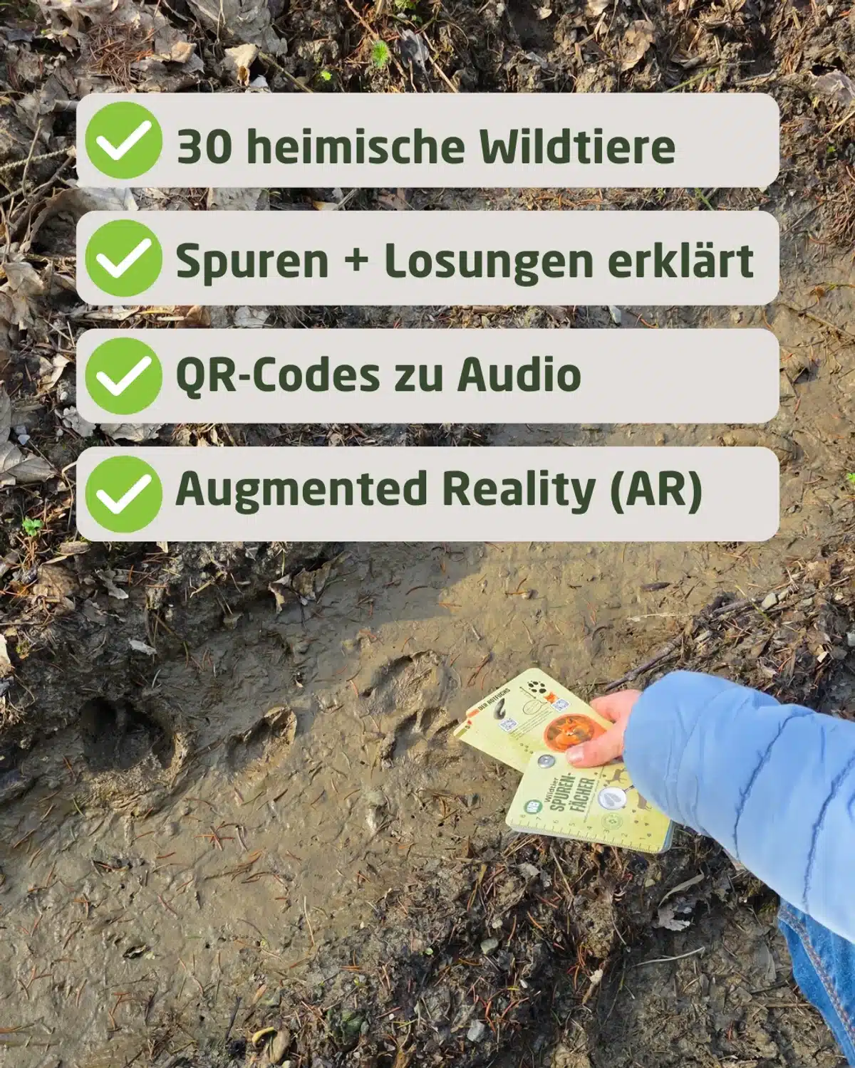 Features Spurenfächer