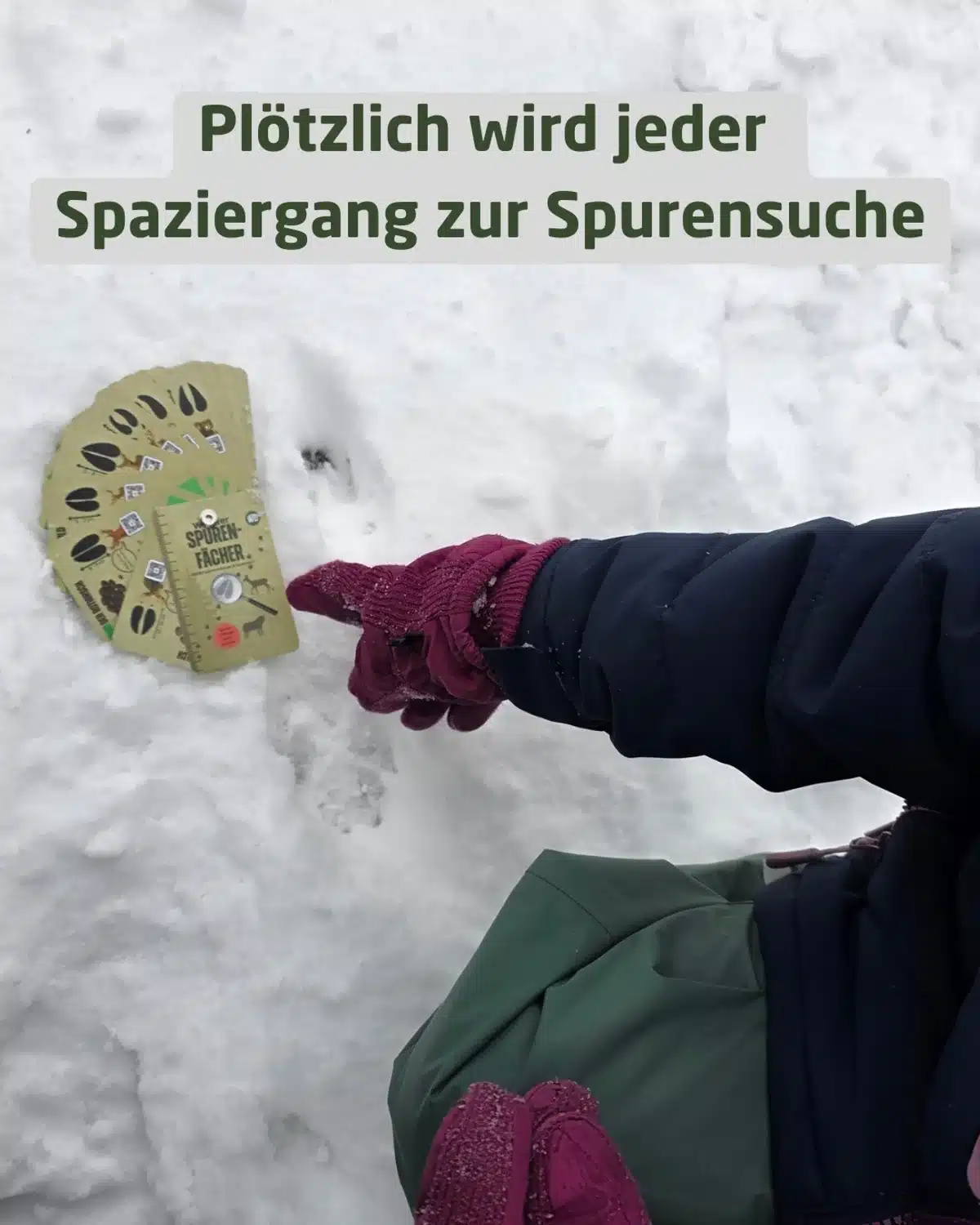 Spaziergang wird Spurensuche