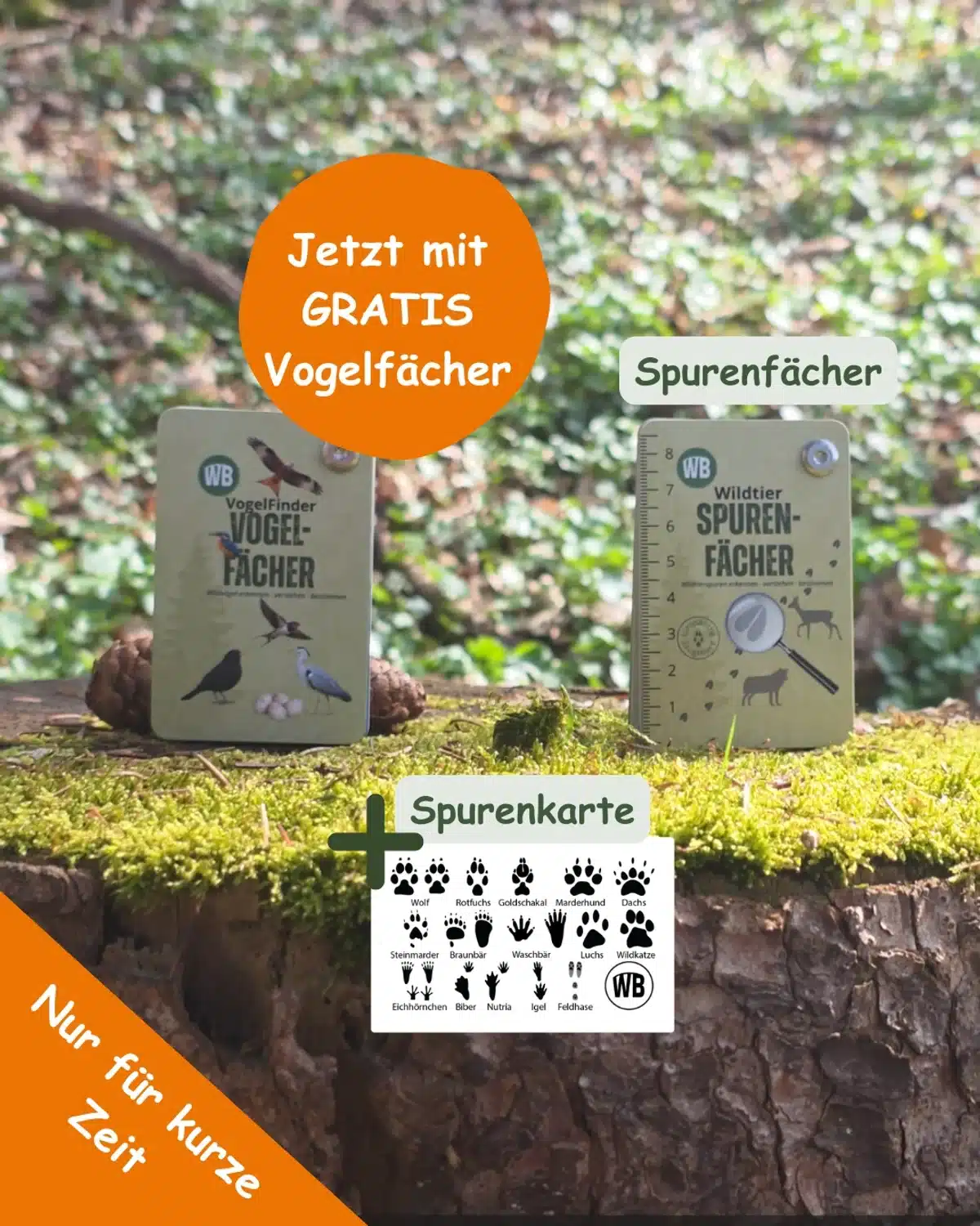 Gratis Vogelfächer Bonus