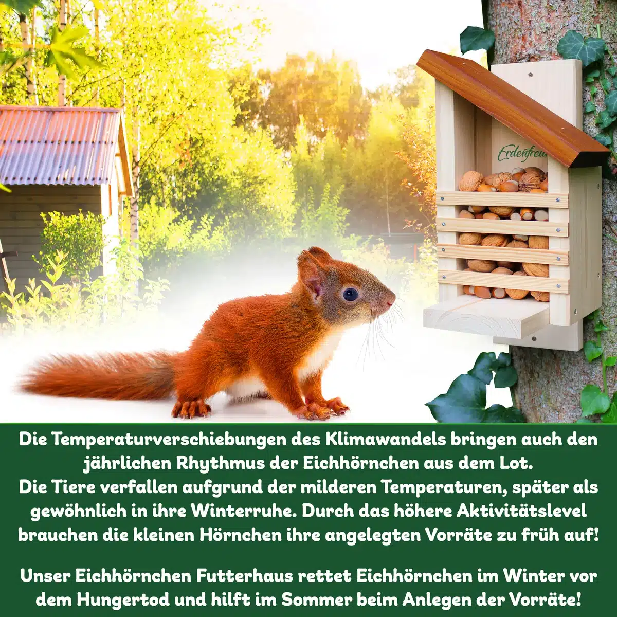 Eichhörnchen unterstützen