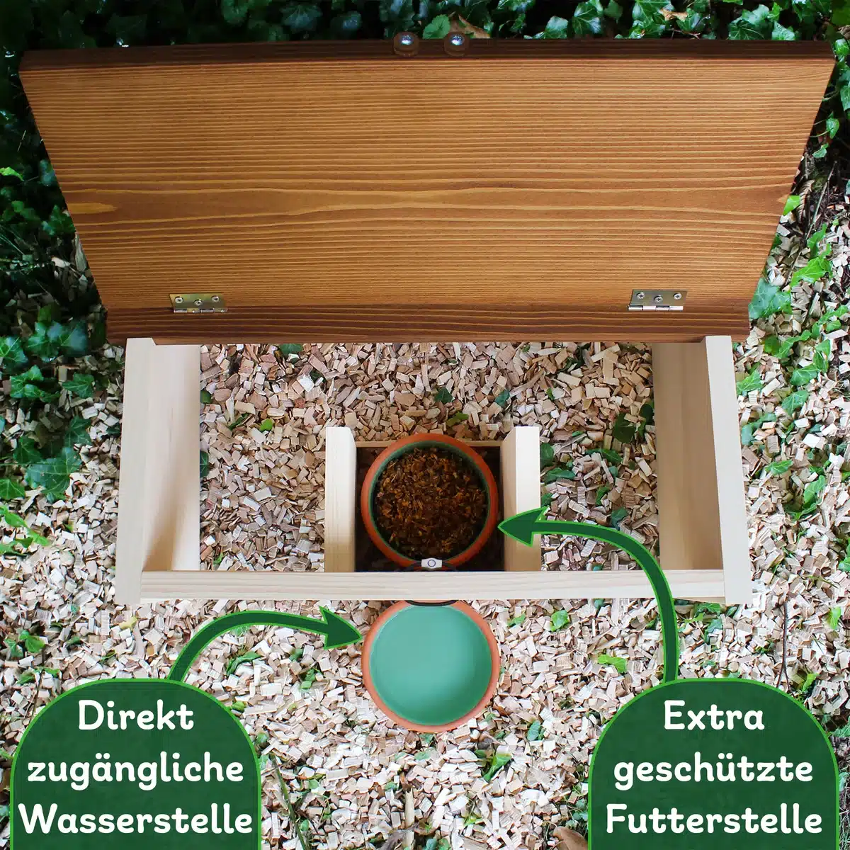 Igel sicher füttern