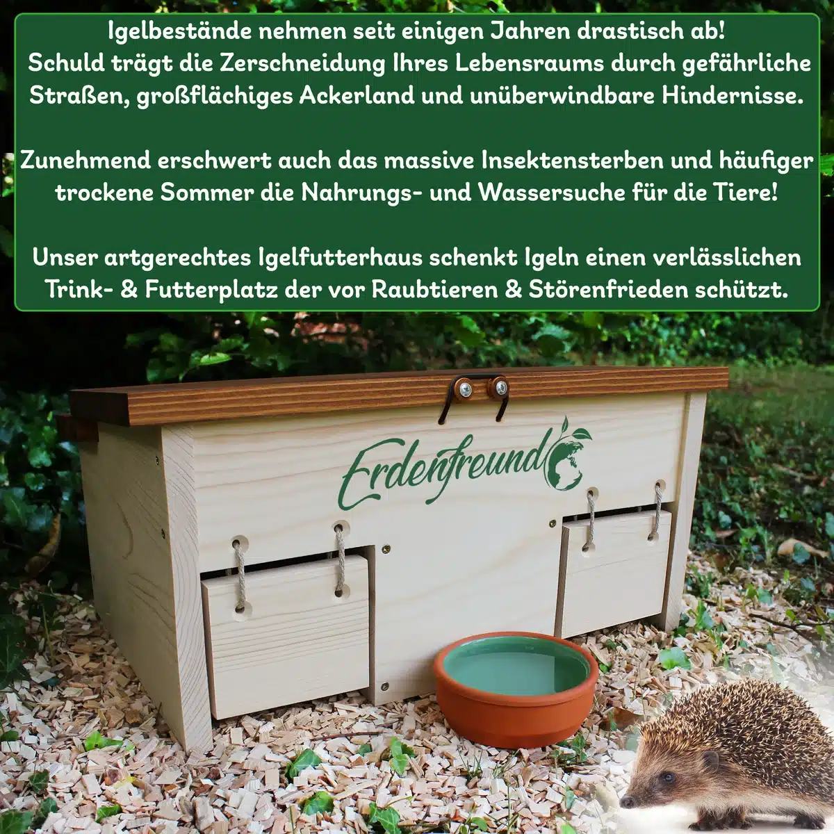 Igel sicher füttern