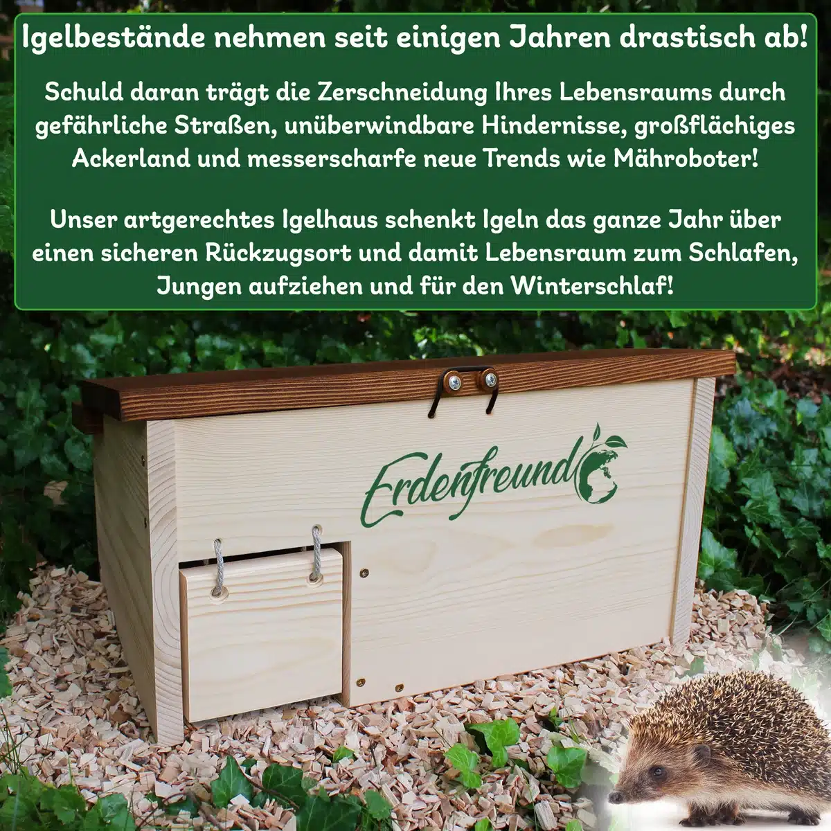 Igel beim Überwintern unterstützen