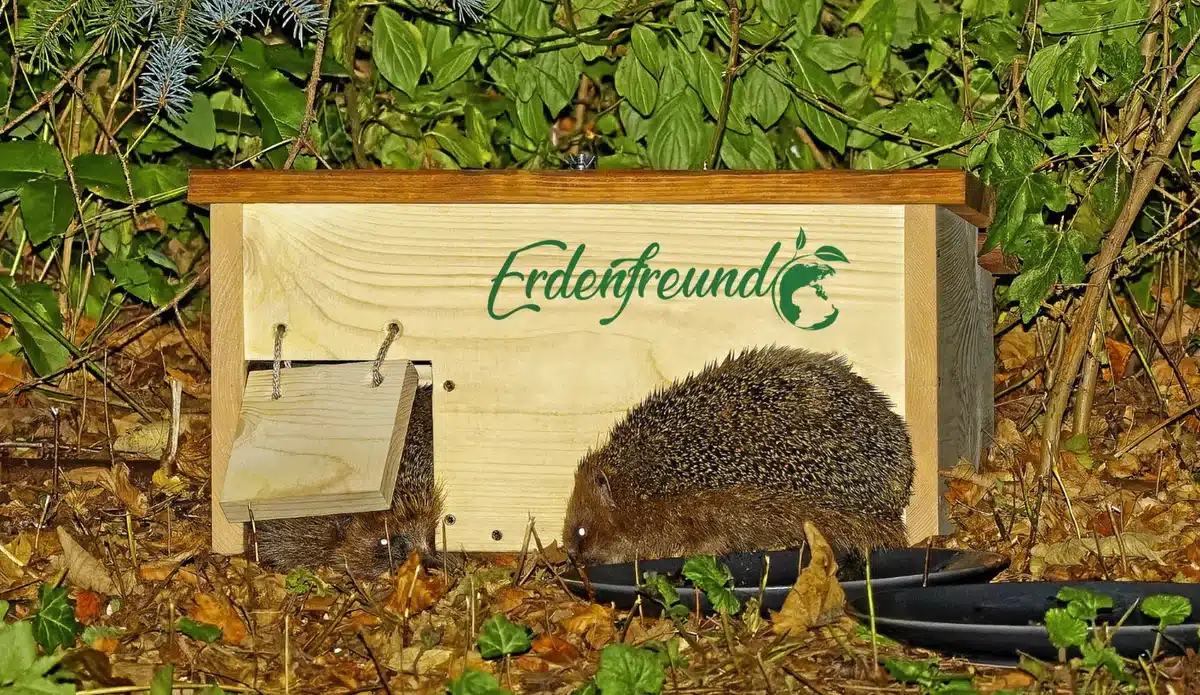 Igel beim Überwintern unterstützen