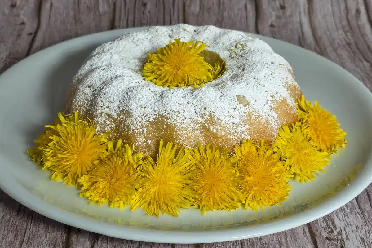 Löwenzahnkuchen - Wildbrücke