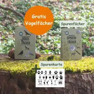 Naturdetektiv-Set - Dein nächster Spaziergang wird zum Abenteuer