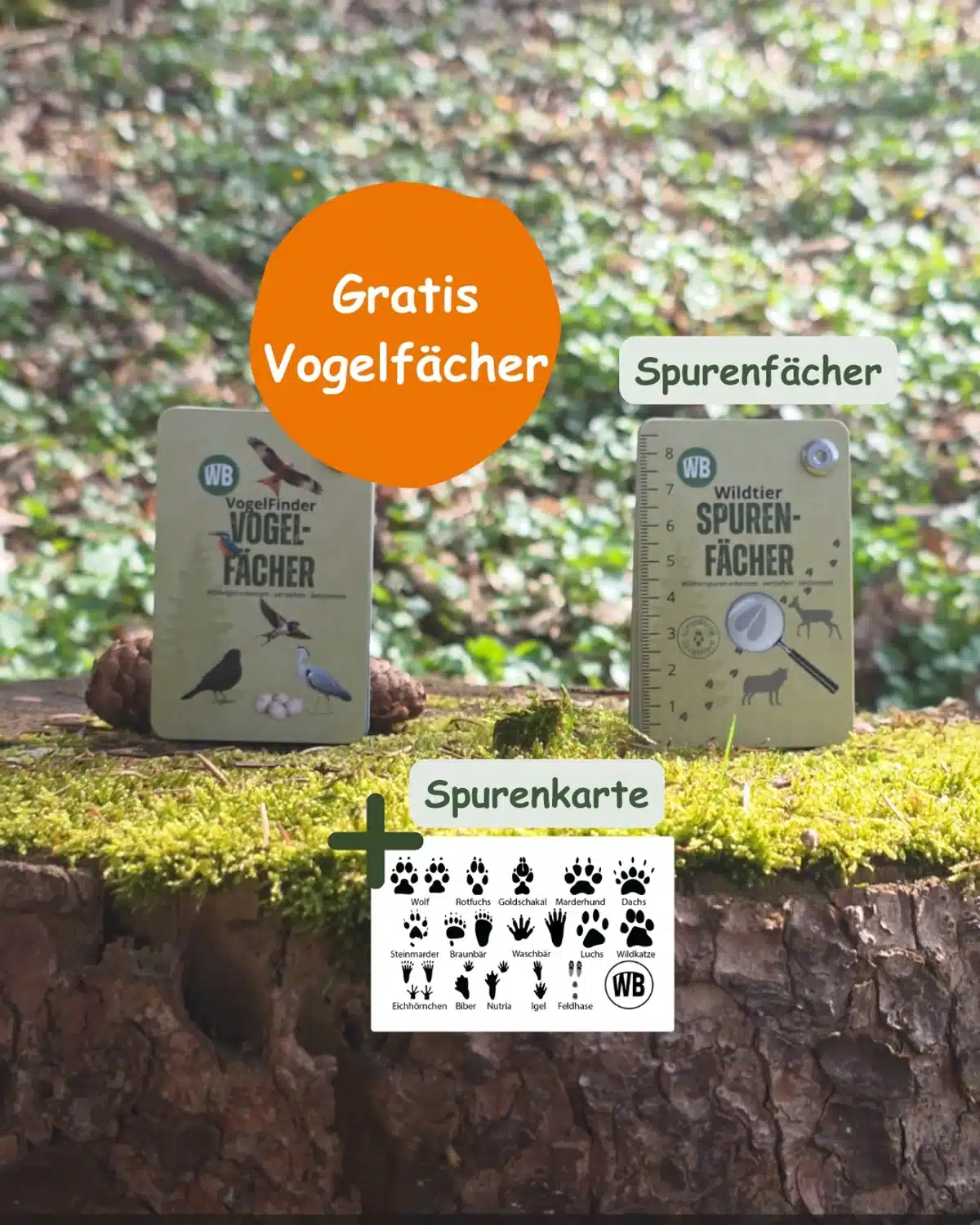 Naturdetektiv-Set