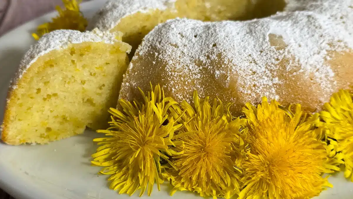 Saftiger Löwenzahnkuchen - Wildbrücke