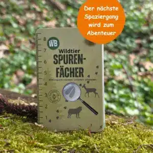 Spurenfächer- Dein nächster Spaziergang wird zum Abenteuer