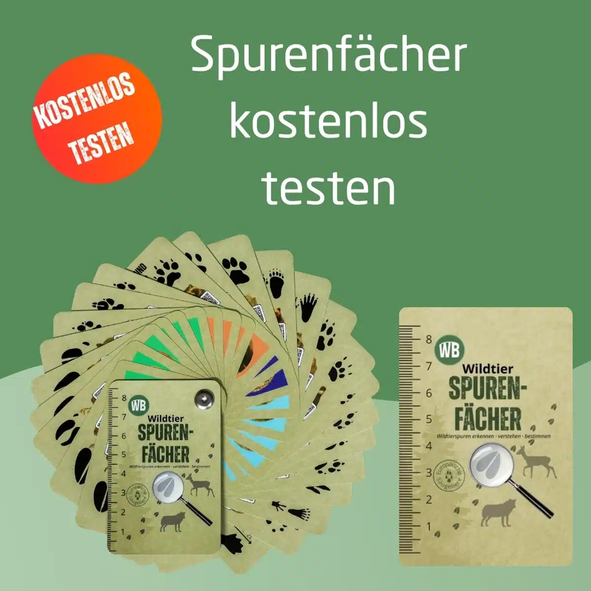 Spurenfächer testen