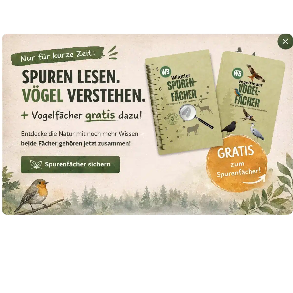 Spurenfächer entdecken