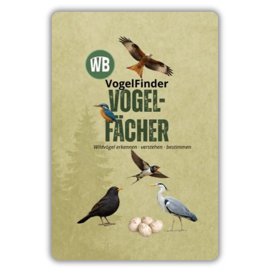 Vogelfächer