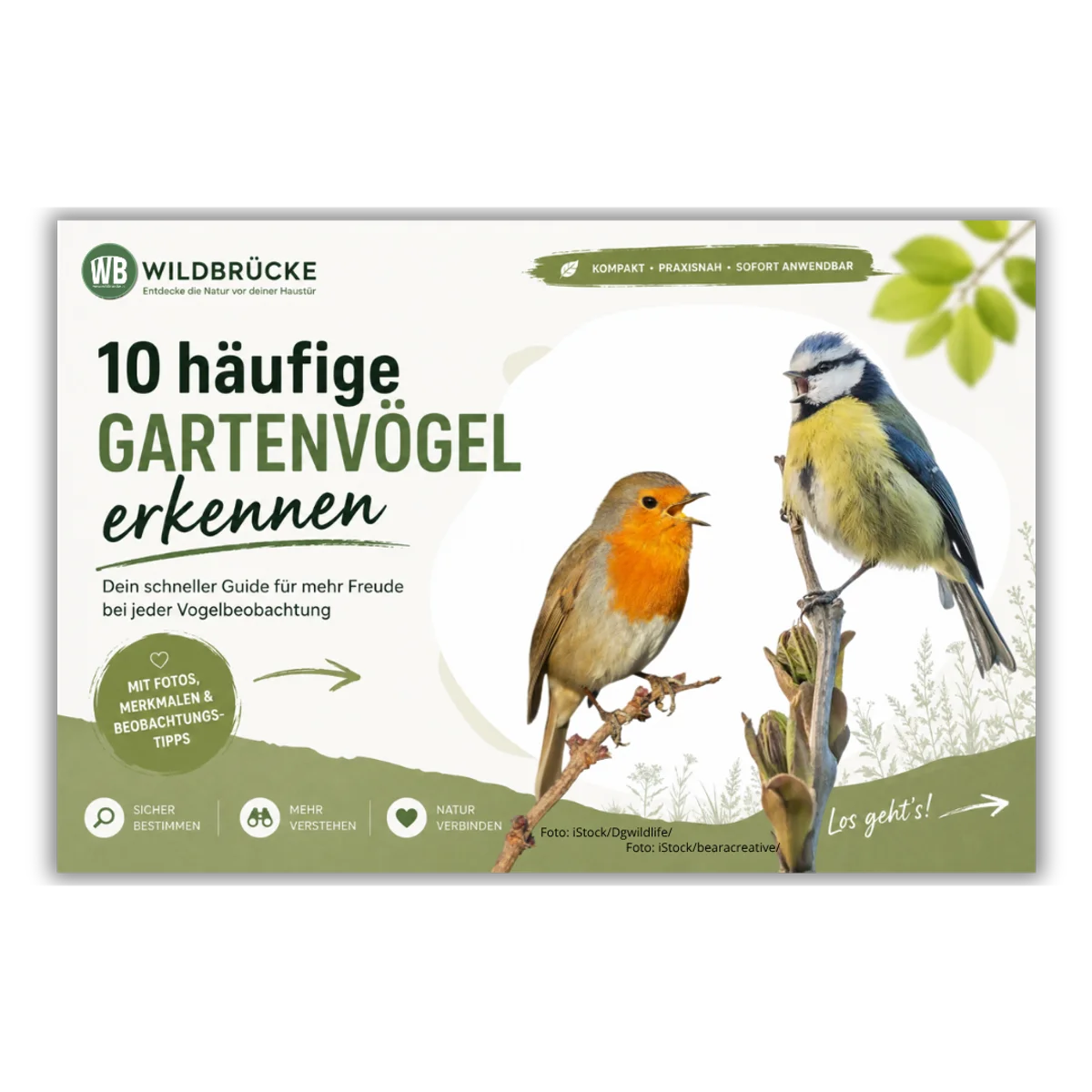 Gartenvogel-Guide auf VogelFinder