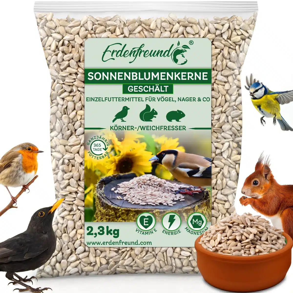 Sonnenblumenkerne ohne Schalenreste anbieten