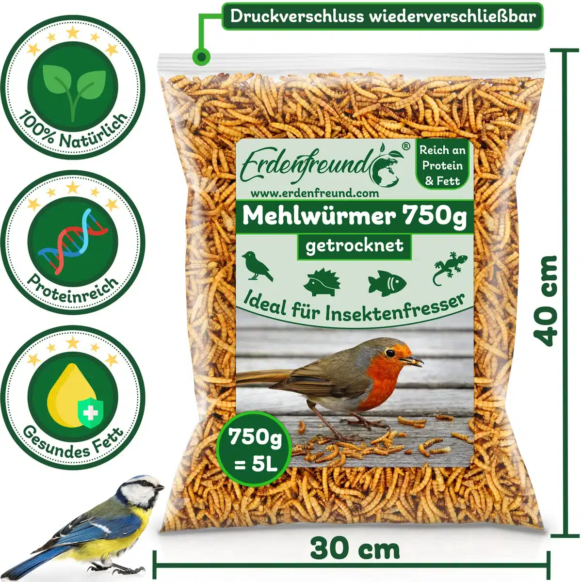 Insektenfresser am Futterplatz unterstützen