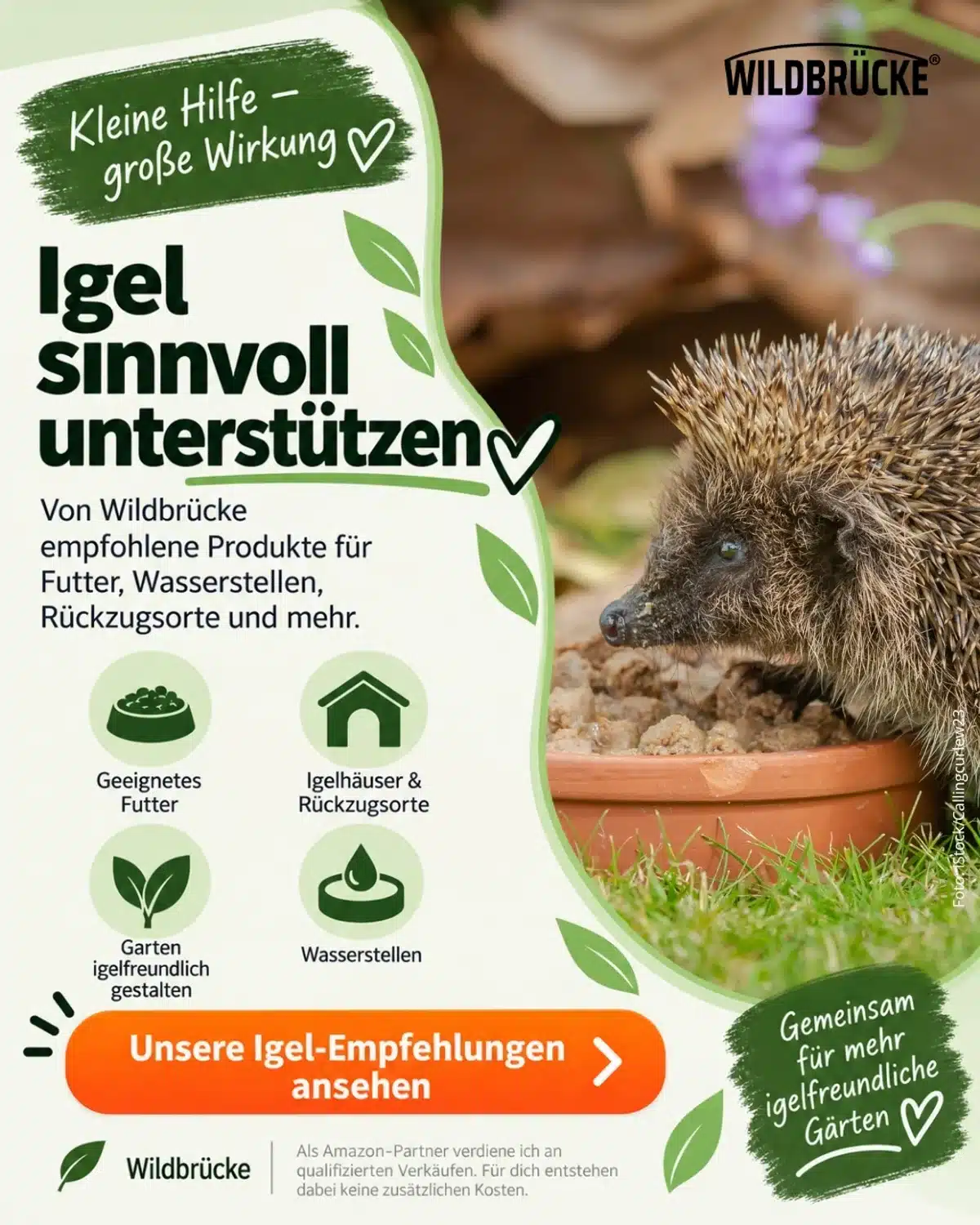 Unsere Empfehlungen für Igel