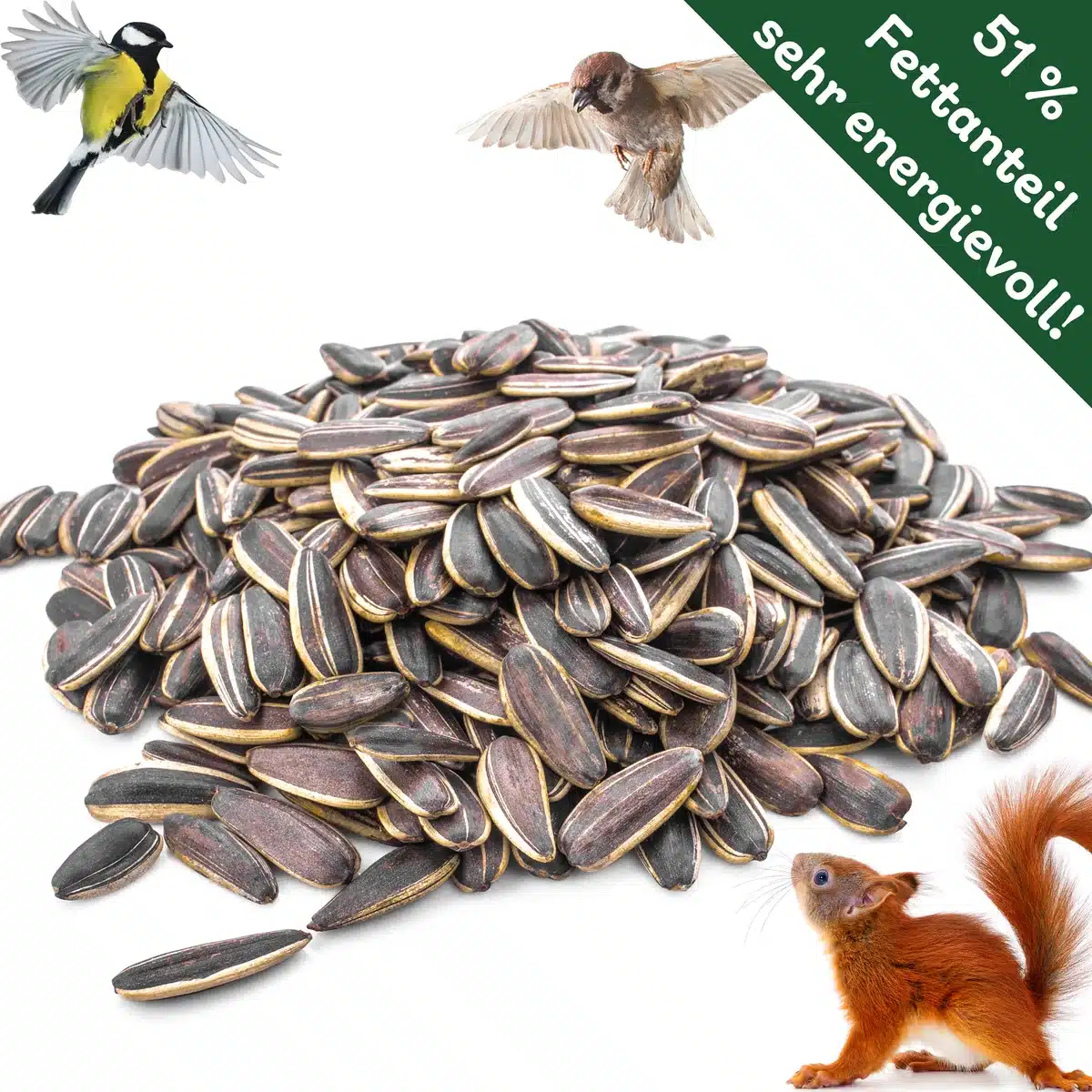 Welche Vögel fressen Sonnenblumenkerne?